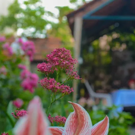 Apartamento Martinovic *