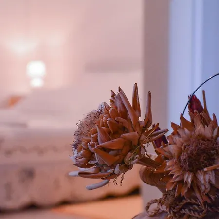 Apartment Martinovic