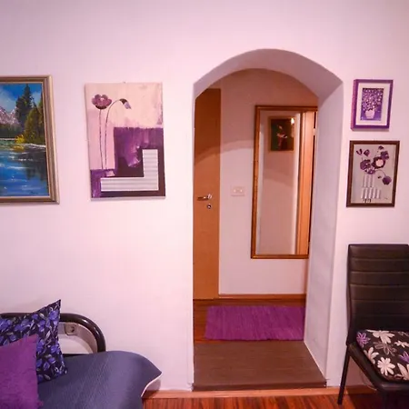 Martinovic Apartamento *