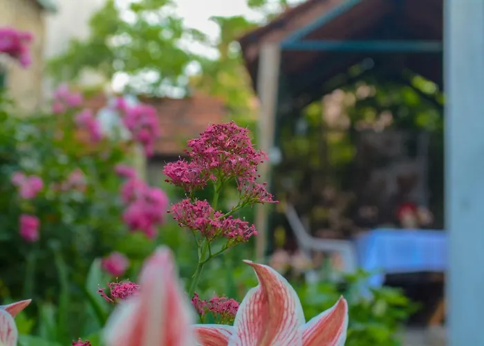 Apartament Martinovic *