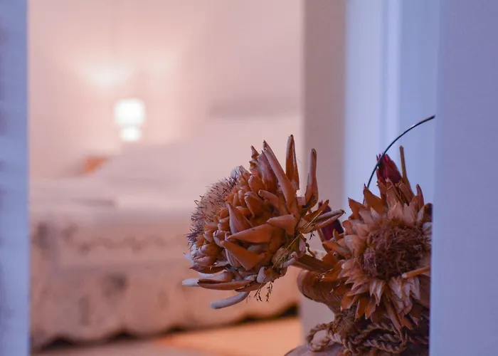 Apartament Martinovic